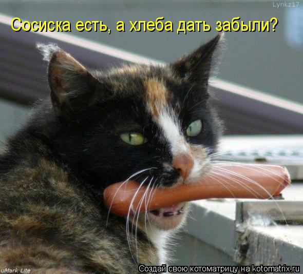 Сосиска есть, а хлеба дать забыли?... Котоматрица: Сосиска есть, а хлеба дать забыли?