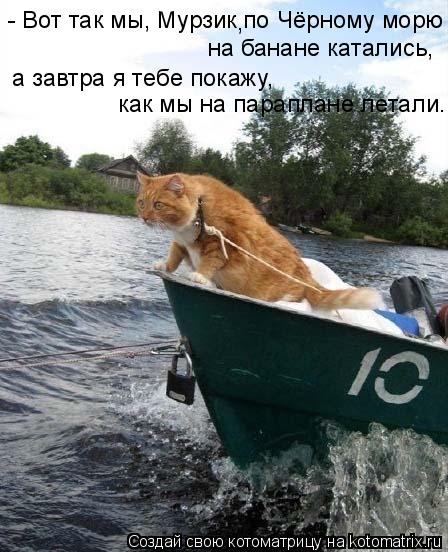 - Вот так мы, Мурзик по Чёрному морю на банане катались, а завтра я тебе покажу, как мы на параплане... Котоматрица: - Вот так мы, Мурзик по Чёрному морю на банане катались, а завтра я тебе покажу, как мы на параплане летали. ,