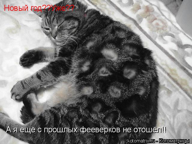 Новый год??Уже?? А я ещё с прошлых фееверков не отошёл!!... Котоматрица: Новый год??Уже?? А я ещё с прошлых фееверков не отошёл!!