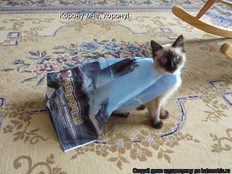 Корону мне, корону!... Котоматрица: Корону мне, корону!