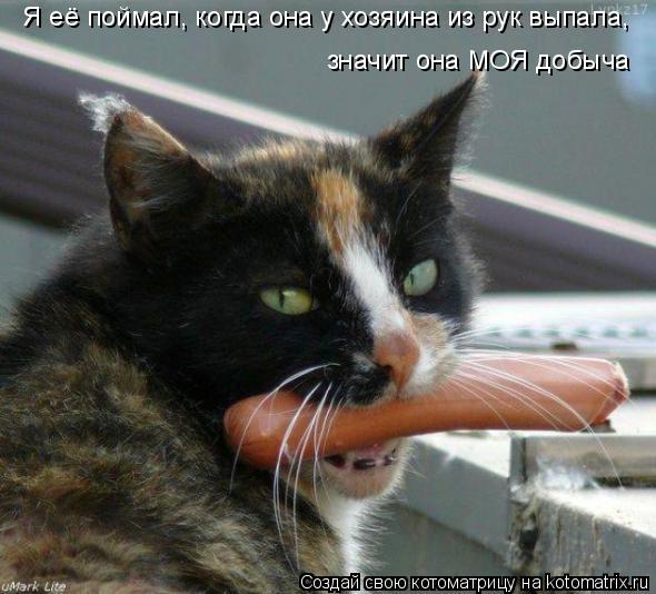 Я её поймал, когда она у хозяина из рук выпала, значит она МОЯ добыча... Котоматрица: Я её поймал, когда она у хозяина из рук выпала, значит она МОЯ добыча