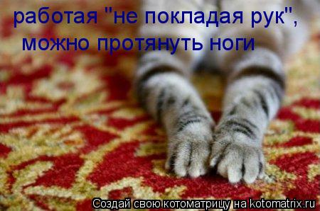 работая "не покладая рук", можно протянуть ноги... Котоматрица: работая "не покладая рук", можно протянуть ноги