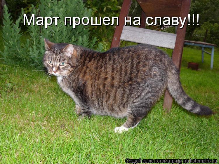 Март прошел на славу!!!... Котоматрица: Март прошел на славу!!!