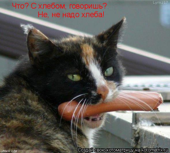 Что? С хлебом, говоришь? Не, не надо хлеба!... Котоматрица: Что? С хлебом, говоришь? Не, не надо хлеба!