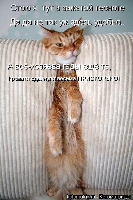 Да,да не так уж здесь удобно.. Стою я тут в зажатой тесноте А всё-хозяева гады ещё те, Кровати сдвин... Котоматрица: Да,да не так уж здесь удобно.. Стою я тут в зажатой тесноте А всё-хозяева гады ещё те, Кровати сдвинули весьма ПРИСКОРБНО!