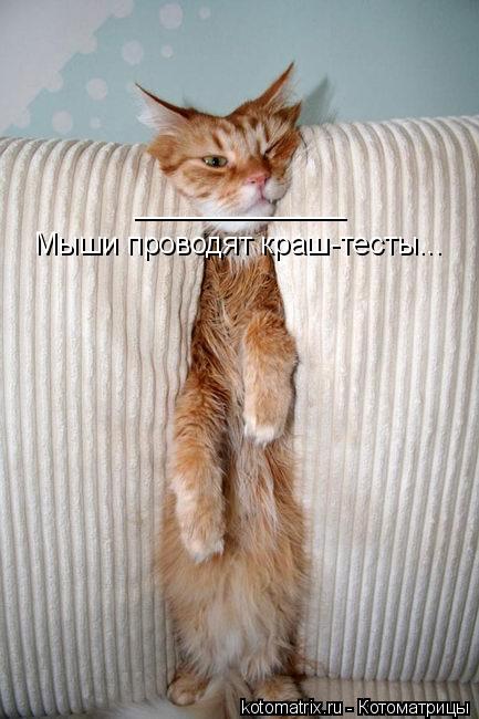 Мыши проводят краш-тесты... _____________... Котоматрица: Мыши проводят краш-тесты... _____________