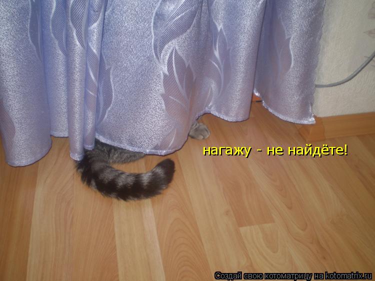 нагажу - не найдёте!... Котоматрица: нагажу - не найдёте!