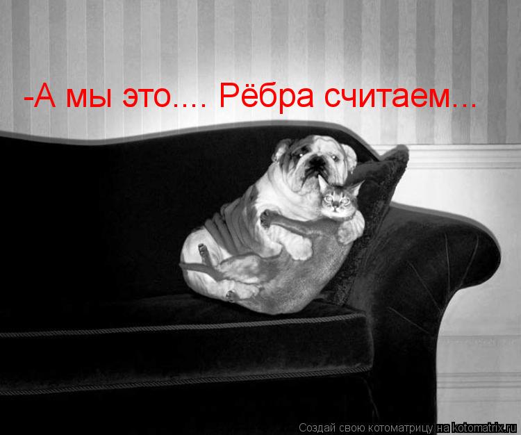 -А мы это.... Рёбра считаем...... Котоматрица: -А мы это.... Рёбра считаем...