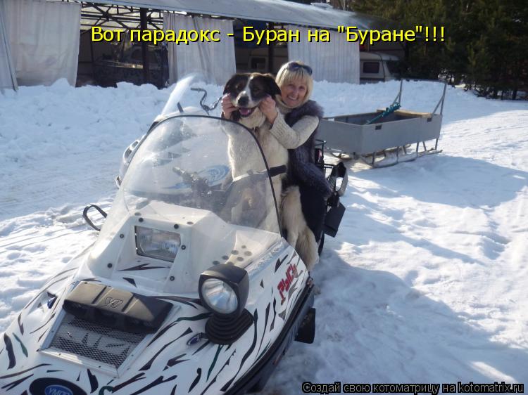 Вот парадокс - Буран на "Буране"!!!... Котоматрица: Вот парадокс - Буран на "Буране"!!!