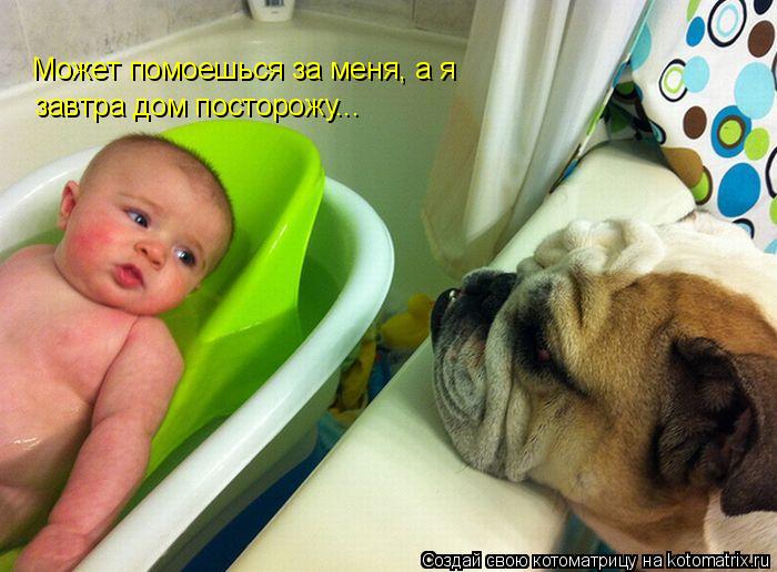 Может помоешься за меня, а я завтра дом посторожу...... Котоматрица: Может помоешься за меня, а я завтра дом посторожу...