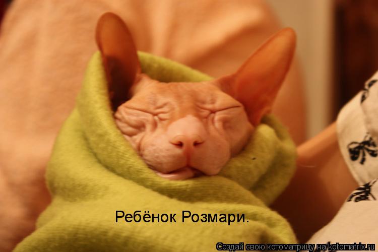 Ребёнок Розмари.... Котоматрица: Ребёнок Розмари.