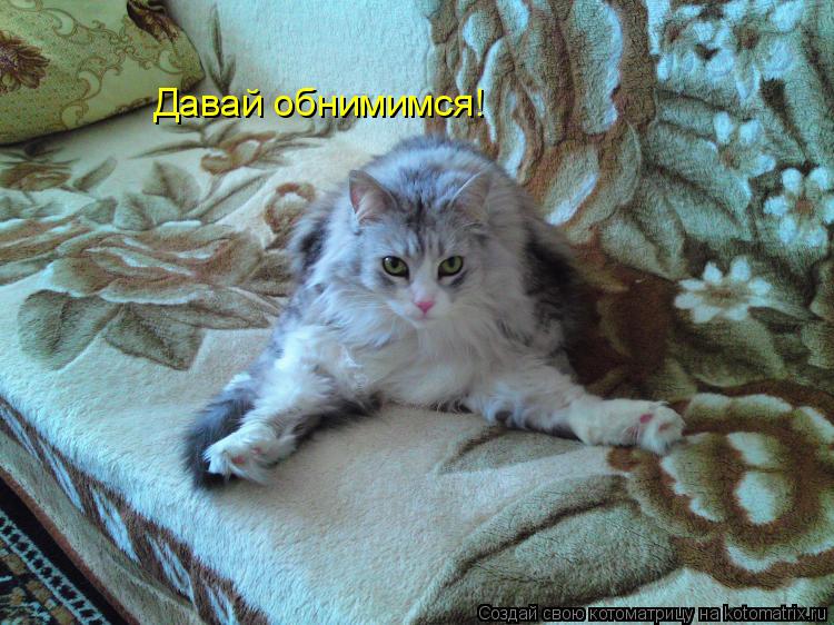 Давай обнимимся!... Котоматрица: Давай обнимимся!