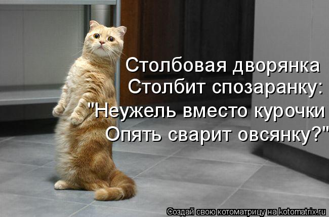 Столбит спозаранку: Столбовая дворянка "Неужель вместо курочки Опять сварит овсянку?"... Котоматрица: Столбит спозаранку: Столбовая дворянка "Неужель вместо курочки Опять сварит овсянку?"