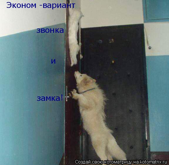 Эконом -вариант звонка и замка !... Котоматрица: Эконом -вариант звонка и замка !