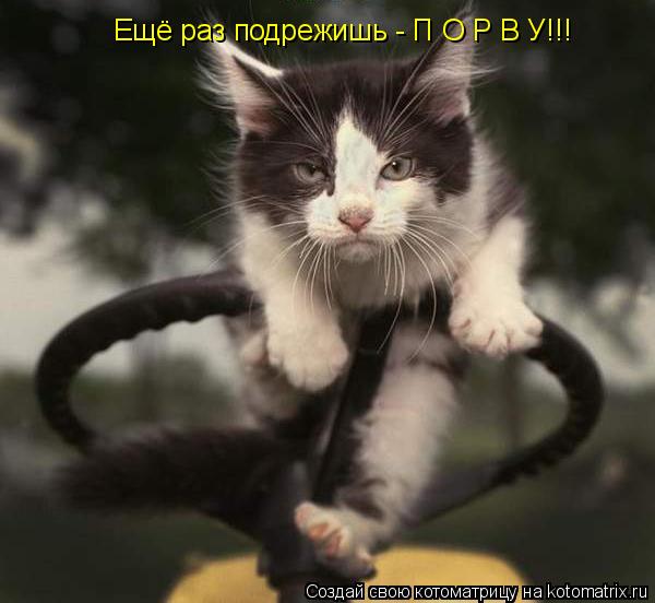 Ещё раз подрежишь - П О Р В У!!!... Котоматрица: Ещё раз подрежишь - П О Р В У!!!