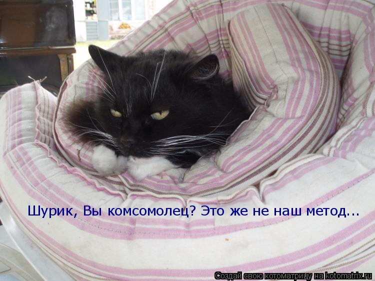Шурик, Вы комсомолец? Это же не наш метод...... Котоматрица: Шурик, Вы комсомолец? Это же не наш метод...