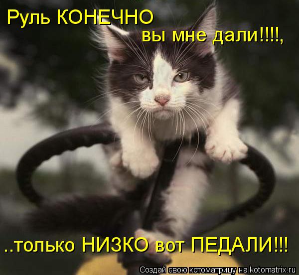Руль КОНЕЧНО вы мне дали!!!!, ..только НИЗКО вот ПЕДАЛИ!!!... Котоматрица: Руль КОНЕЧНО вы мне дали!!!!, ..только НИЗКО вот ПЕДАЛИ!!!