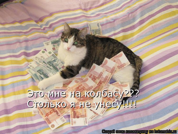 Котоматрица: Это мне на колбасу??? Столько я не унесу!!!!
