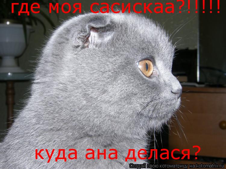 где моя сасискаа?!!!!! куда ана делася?... Котоматрица: где моя сасискаа?!!!!! куда ана делася?