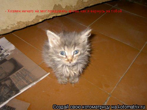 - Хозяин ничего не мог придумать кроме как я вернусь за тобой....... Котоматрица: - Хозяин ничего не мог придумать кроме как я вернусь за тобой....