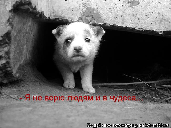 - Я не верю людям - Я не верю людям и в чудеса...... Котоматрица: - Я не верю людям - Я не верю людям и в чудеса...