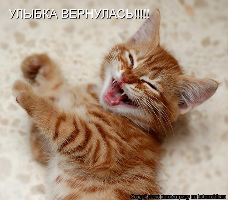 УЛЫБКА ВЕРНУЛАСЬ!!!!!... Котоматрица: УЛЫБКА ВЕРНУЛАСЬ!!!!!