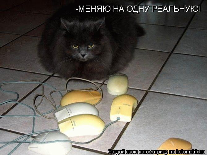 -МЕНЯЮ НА ОДНУ РЕАЛЬНУЮ!... Котоматрица: -МЕНЯЮ НА ОДНУ РЕАЛЬНУЮ!