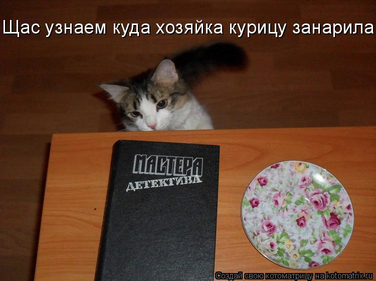 Щас узнаем куда хозяйка курицу занарила!... Котоматрица: Щас узнаем куда хозяйка курицу занарила!