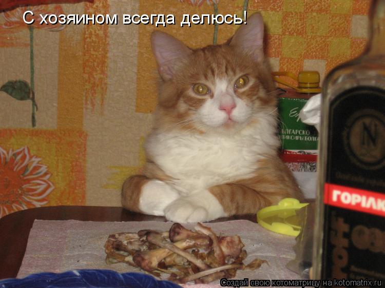 С хозяином всегда делюсь!... Котоматрица: С хозяином всегда делюсь!