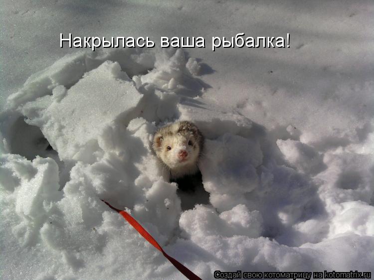 Накрылась ваша рыбалка!... Котоматрица: Накрылась ваша рыбалка!