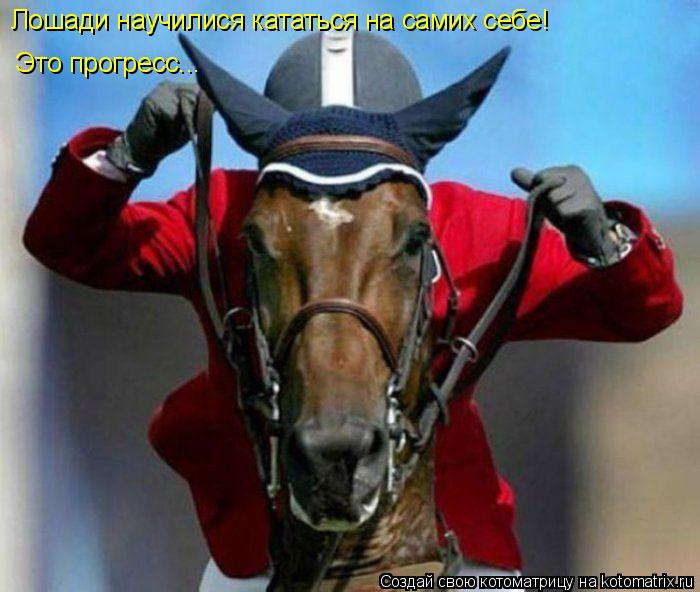 Лошади научилися кататься на самих себе! Это прогресс...... Котоматрица: Лошади научилися кататься на самих себе! Это прогресс...