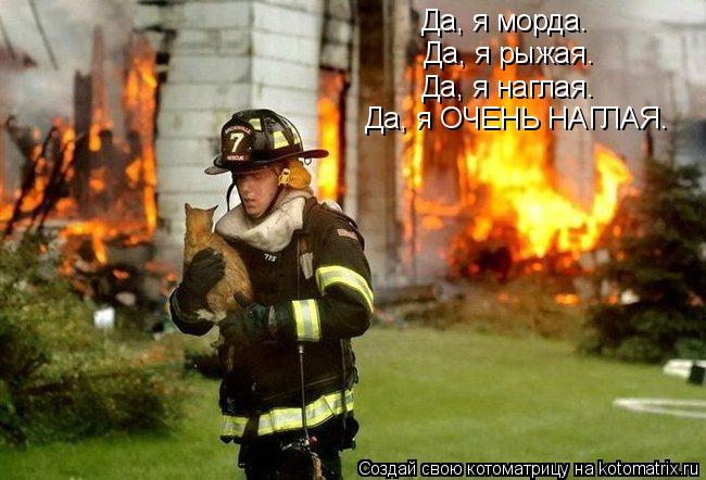 Да, я рыжая. Да, я наглая. Да, я морда. Да, я ОЧЕНЬ НАГЛАЯ.... Котоматрица: Да, я рыжая. Да, я наглая. Да, я морда. Да, я ОЧЕНЬ НАГЛАЯ.