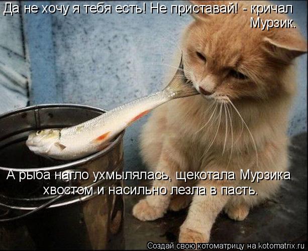 Котоматрица: Да не хочу я тебя есть! Не приставай! - кричал  Мурзик. А рыба нагло ухмылялась, щекотала Мурзика  хвостом и насильно лезла в пасть.