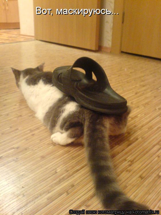 Вот, маскируюсь...... Котоматрица: Вот, маскируюсь...