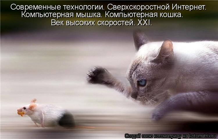 Современные технологии. Сверхскоростной Интернет. Компьютерная мышка. Компьютерная кошка. Век высоких... Котоматрица: Современные технологии. Сверхскоростной Интернет. Компьютерная мышка. Компьютерная кошка. Век высоких скоростей. XXI.