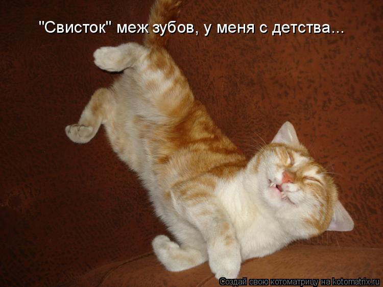 "Свисток" меж зубов, у меня с детства...... Котоматрица: "Свисток" меж зубов, у меня с детства...