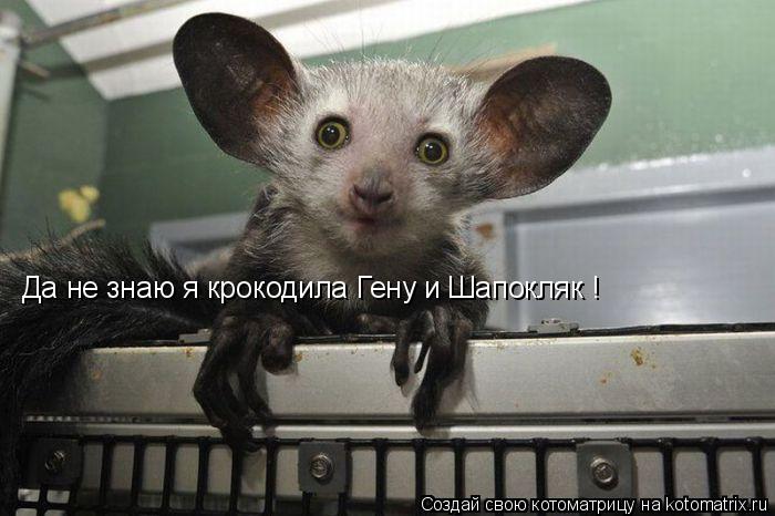 Да не знаю я крокодила Гену и Шапокляк !... Котоматрица: Да не знаю я крокодила Гену и Шапокляк !