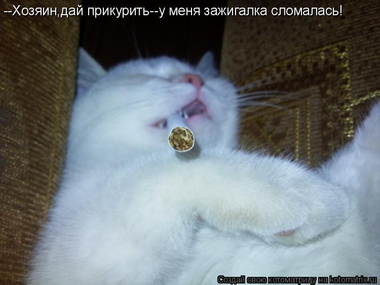--Хозяин,дай прикурить--у меня зажигалка сломалась!... Котоматрица: --Хозяин,дай прикурить--у меня зажигалка сломалась!
