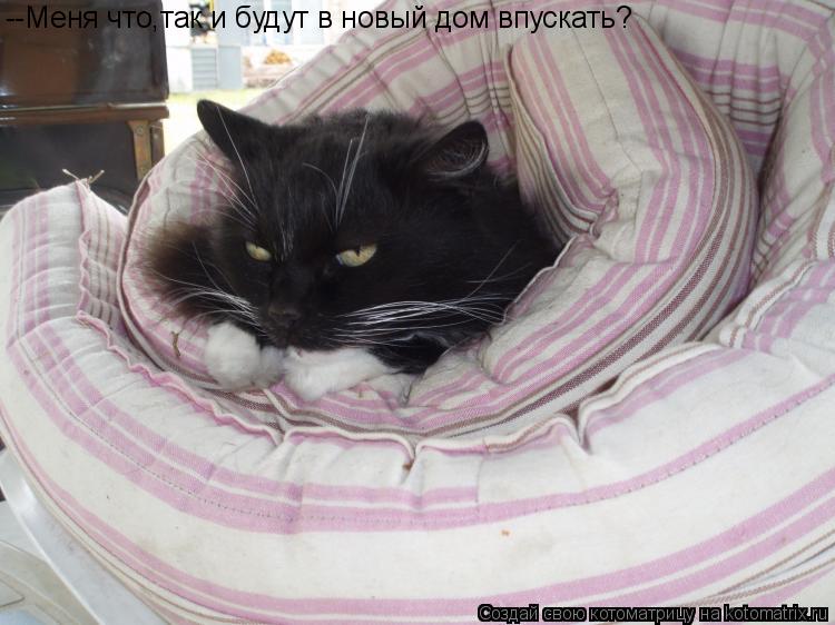 --Меня что,так и будут в новый дом впускать?... Котоматрица: --Меня что,так и будут в новый дом впускать?