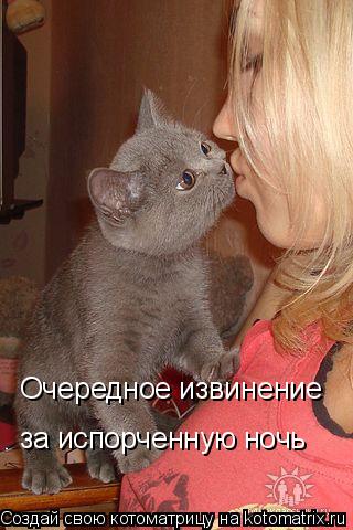 Очередное извинение за испорченную ночь... Котоматрица: Очередное извинение за испорченную ночь