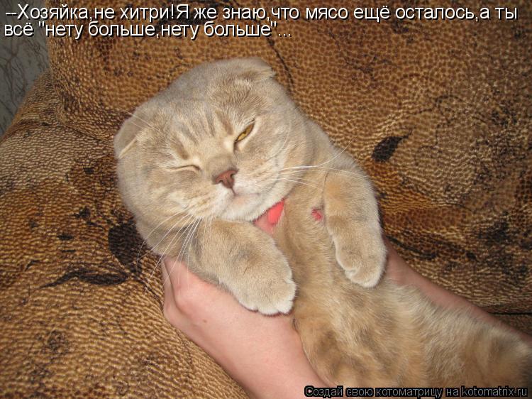 --Хозяйка,не хитри!Я же знаю,что мясо ещё осталось,а ты всё "нету больше,нету больше"...... Котоматрица: --Хозяйка,не хитри!Я же знаю,что мясо ещё осталось,а ты всё "нету больше,нету больше"...
