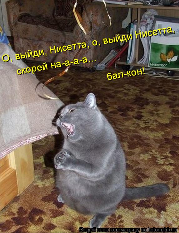 О, выйди, Тнисетта, о, выйди Нисетта, О, выйди, Нисетта, о, выйди Нисетта, скорей на-а-а-а... бал-кон... Котоматрица: О, выйди, Тнисетта, о, выйди Нисетта, О, выйди, Нисетта, о, выйди Нисетта, скорей на-а-а-а... бал-кон!