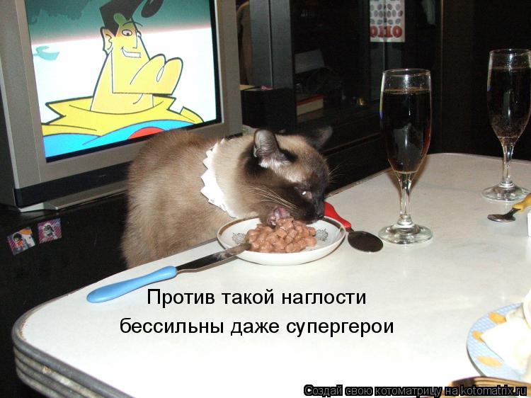 Против такой наглости бессильны даже супергерои... Котоматрица: Против такой наглости бессильны даже супергерои