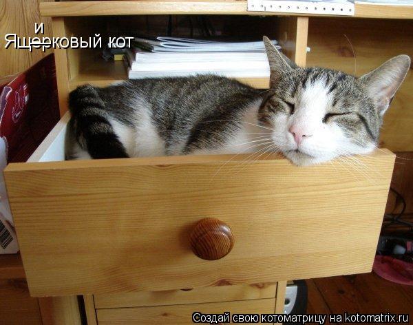 Ящерковый кот __ и... Котоматрица: Ящерковый кот __ и