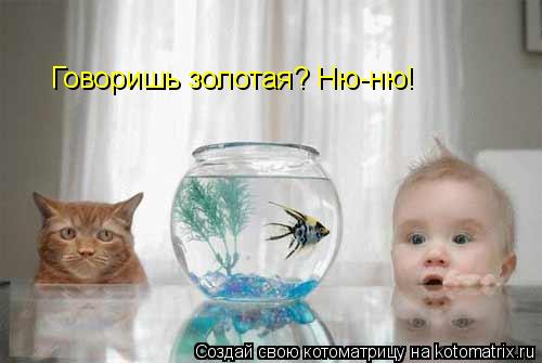 Говоришь золотая? Ню-ню!... Котоматрица: Говоришь золотая? Ню-ню!