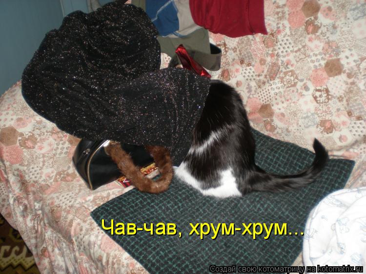 Чав-чав, хрум-хрум...... Котоматрица: Чав-чав, хрум-хрум...