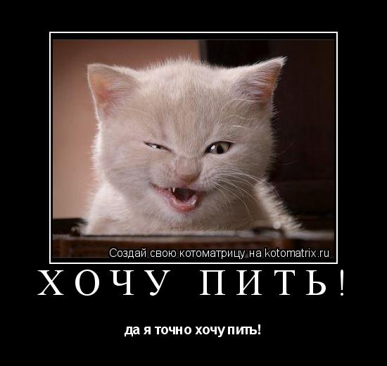 хочу пить! да я точно хочу пить!... Котоматрица: хочу пить! да я точно хочу пить!
