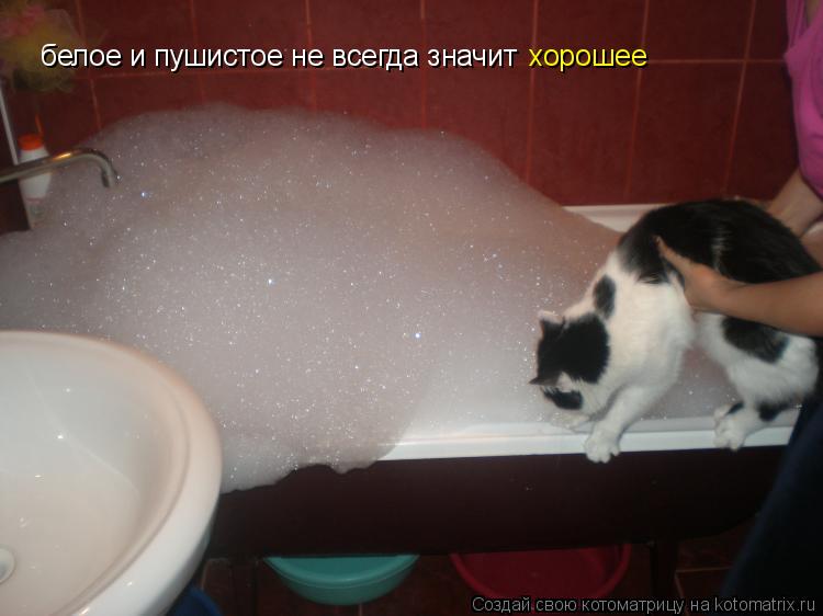 белое и пушистое не всегда значит хорошее... Котоматрица: белое и пушистое не всегда значит хорошее