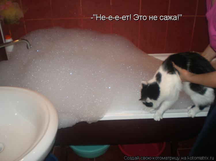 -"Не-е-е-ет! Это не сажа!"... Котоматрица: -"Не-е-е-ет! Это не сажа!"