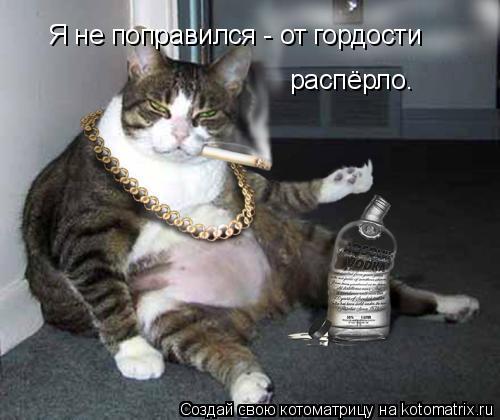 Я не поправился - от гордости распёрло.... Котоматрица: Я не поправился - от гордости распёрло.